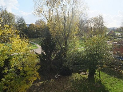 CHAMBRE - LILLE BOIS BLANC - 18.98 m2 - LOUÉ