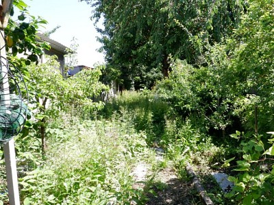 IMMEUBLE DE RAPPORT - LILLE FIVES - 450 m2 - 730000€