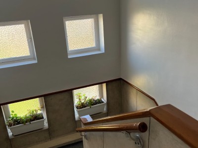 MAISON - LILLE CORMONTAIGNE - 276 m2 - 895000€