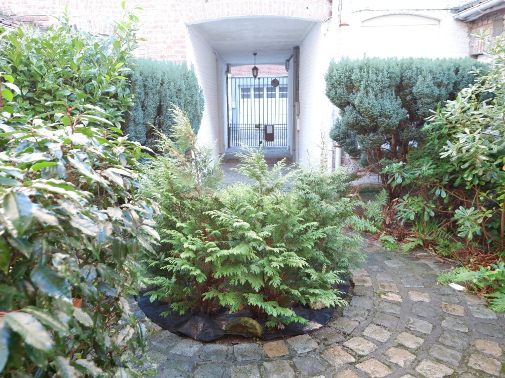 Ensemble de deux studios - LILLE GAMBETTA - 22 m2 - 99�000�&euro;