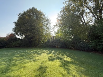 TERRAIN A VENDRE - LAMBERSART - 900 m2 - 570000€