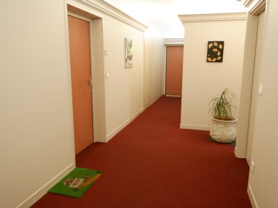 APPARTEMENT T4 - LILLE ST MICHEL - 95 m2 - 499000€